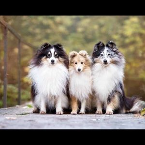 Meet your Posher, Destini